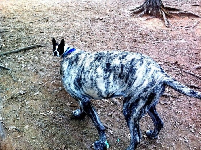 perfectphotos142_030