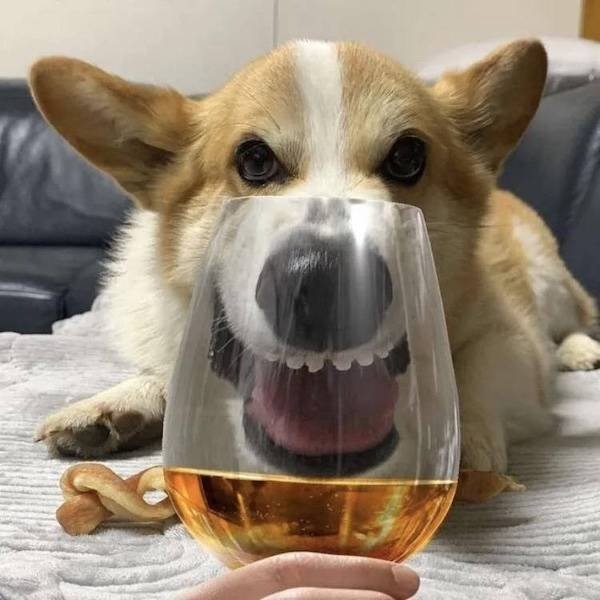 beautifulgirls676_011