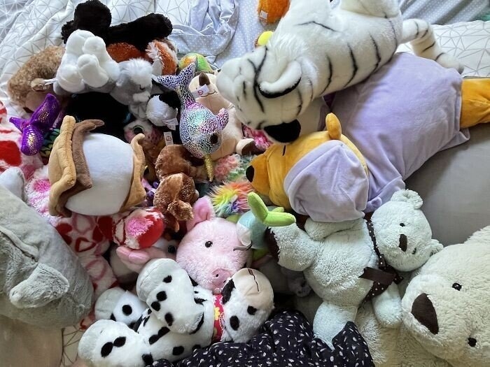 coolcollections2_010