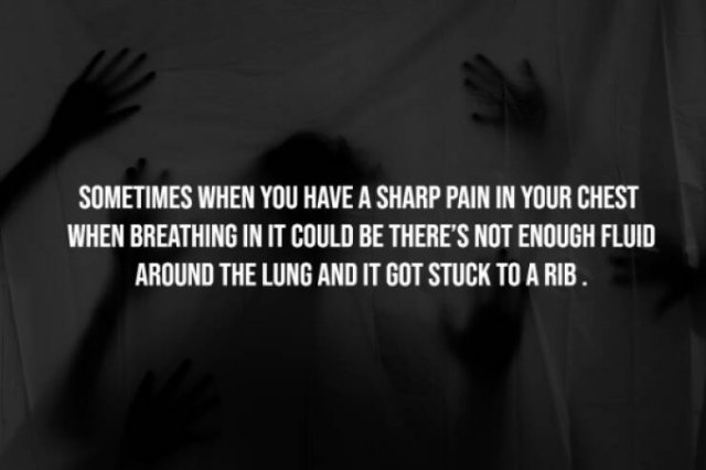 interestingfacts277_004