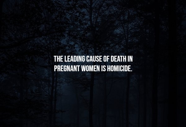 interestingfacts278_002