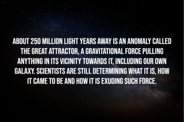 interestingfacts278_003