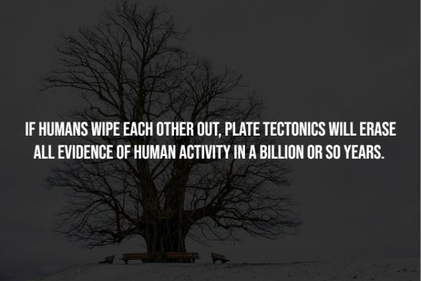 interestingfacts278_005