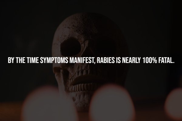 interestingfacts278_006