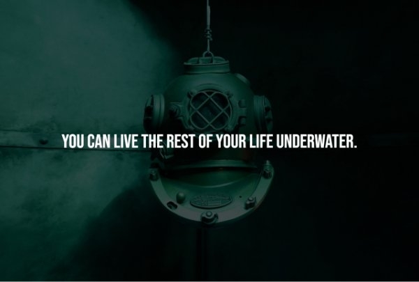 interestingfacts278_007