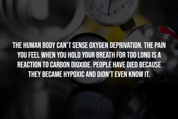 interestingfacts278_012