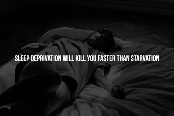 interestingfacts278_014