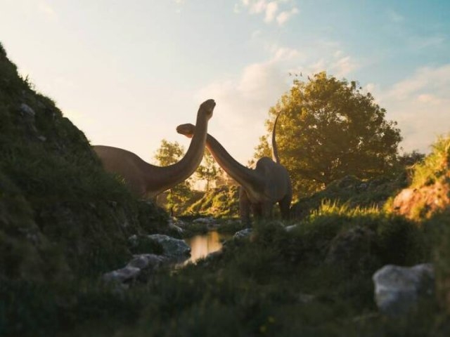 interestingfacts279_011