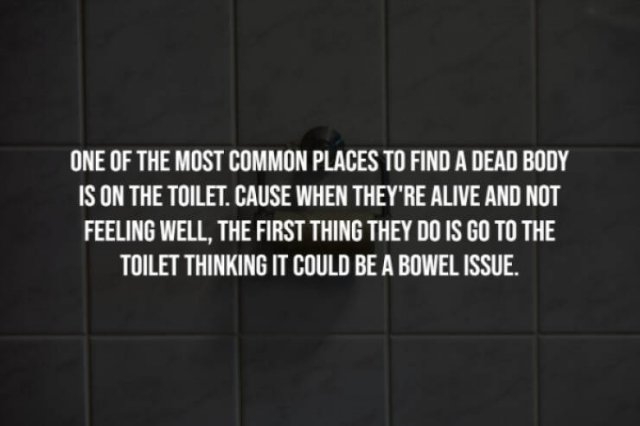 interestingfacts281_005