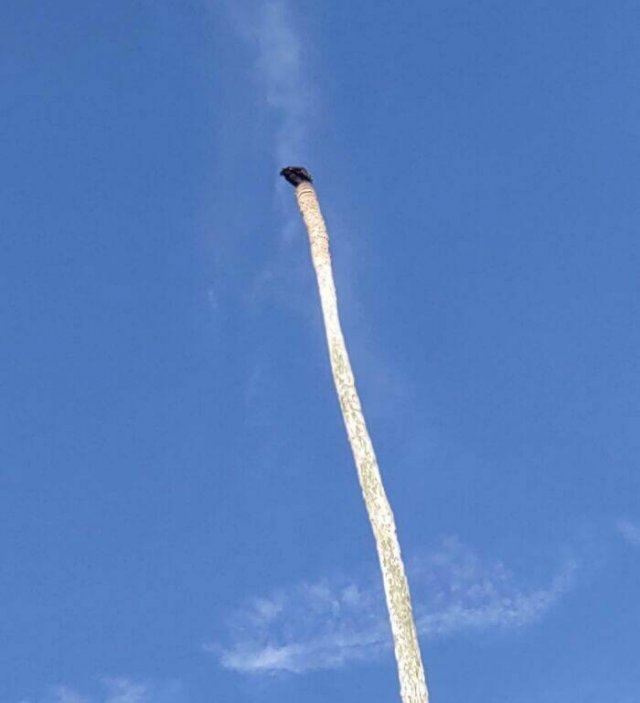 opticalillusions11_019