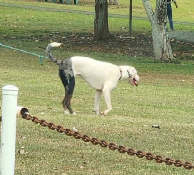 opticalillusions11_023