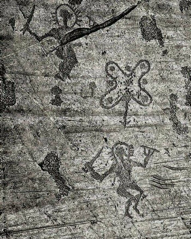 interestingfacts282_020