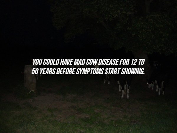 interestingfacts286_006