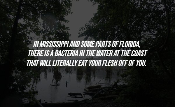 interestingfacts286_013