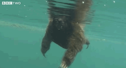 interestingfacts287_005