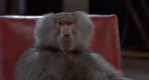 interestingfacts289_010