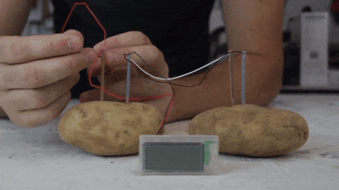 interestingfacts290_005