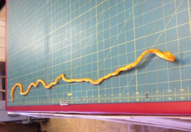 interestingfacts290_006