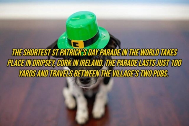 interestingfacts292_001