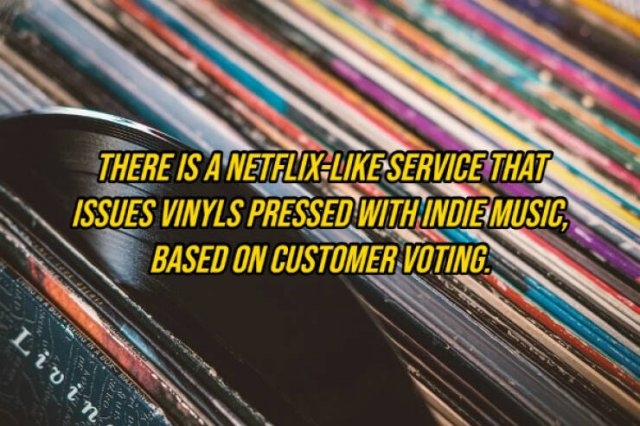 interestingfacts292_003