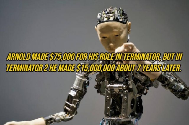 interestingfacts292_004