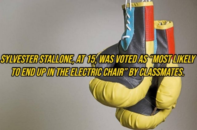 interestingfacts292_006