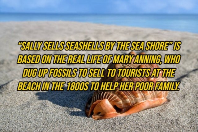 interestingfacts292_007