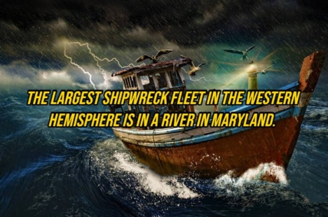 interestingfacts292_008