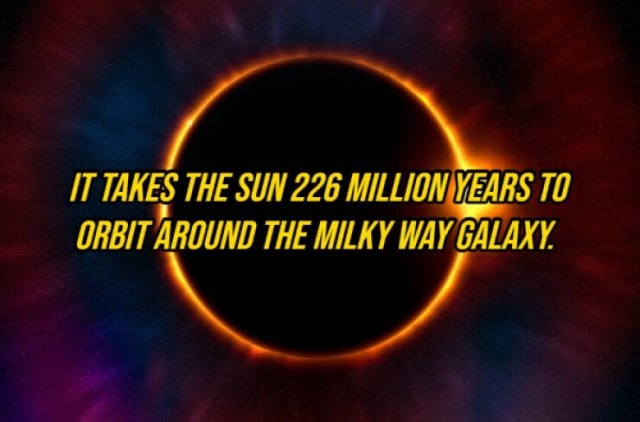 interestingfacts292_010