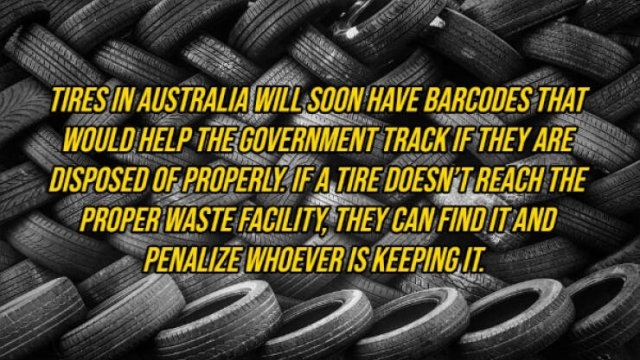 interestingfacts292_011