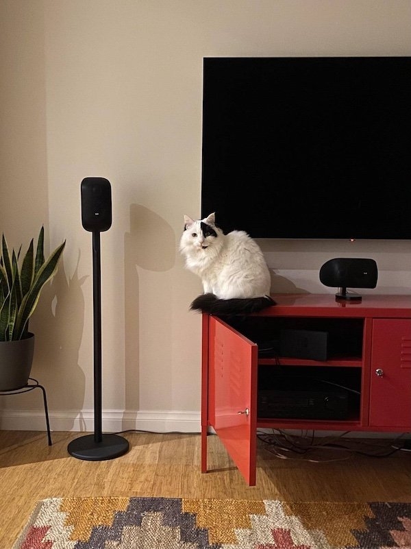 perfectphotos150_020