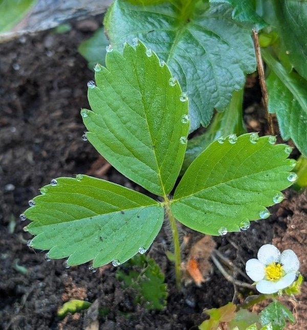 perfectphotos150_021