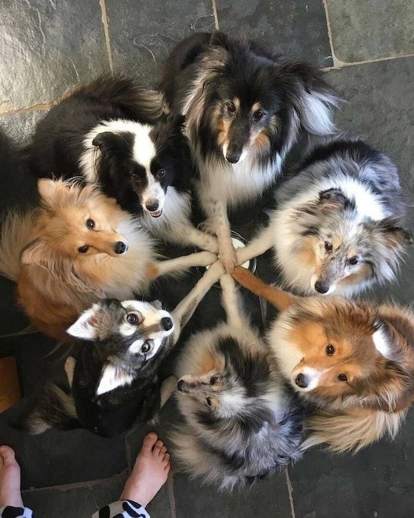 perfectphotos150_028