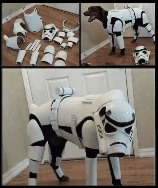 horrormoviememes11_007