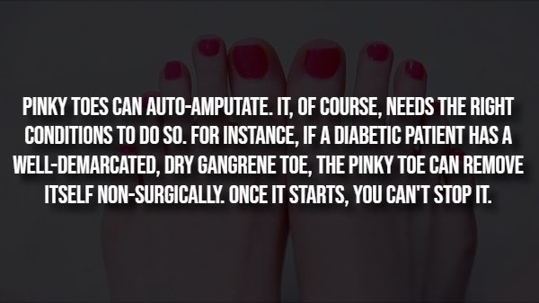 interestingfacts293_003