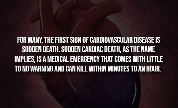 interestingfacts293_005