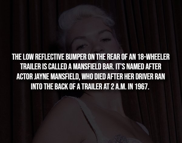 interestingfacts293_006