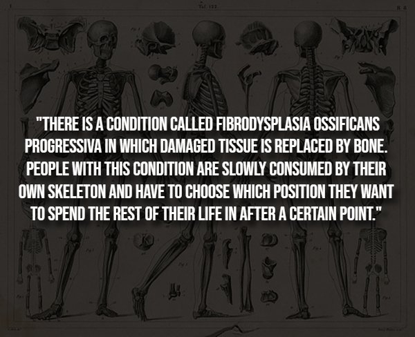 interestingfacts293_007