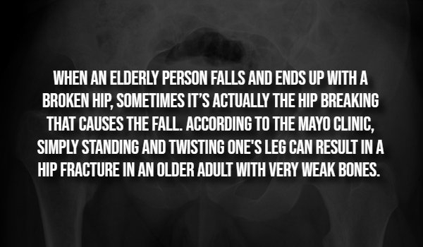 interestingfacts293_009