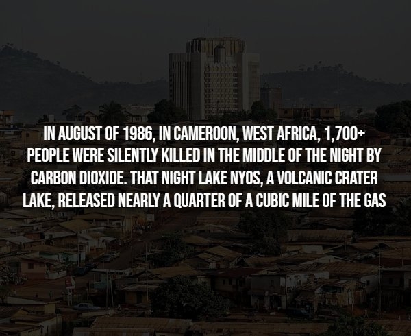 interestingfacts293_013