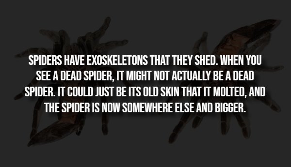 interestingfacts293_014