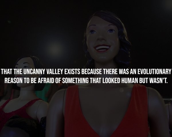 interestingfacts294_006