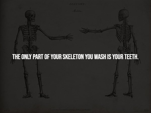 interestingfacts294_010