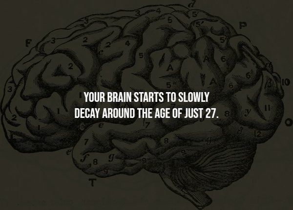 interestingfacts294_012