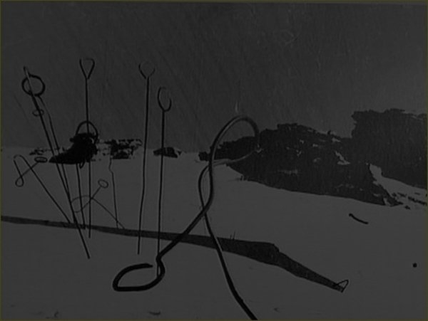 interestingfacts297_010