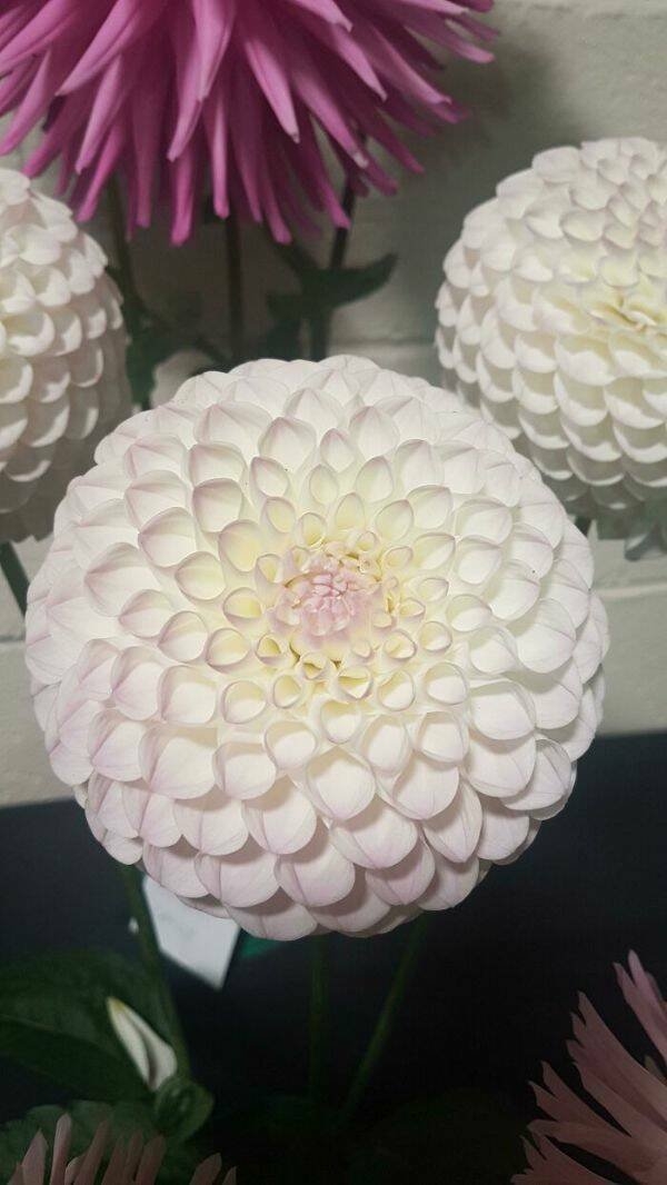 perfectphotos151_004