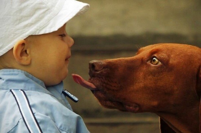 perfectphotos152_017