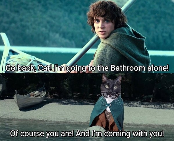 horrormoviememes12_039