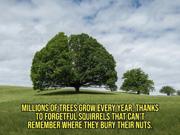 interestingfacts299_002