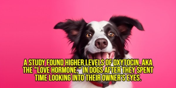 interestingfacts299_003